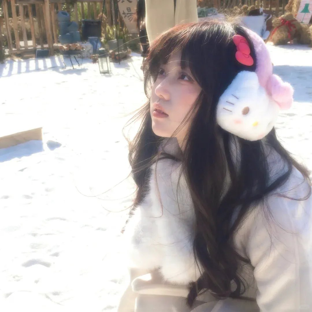 送赞雪橇犬